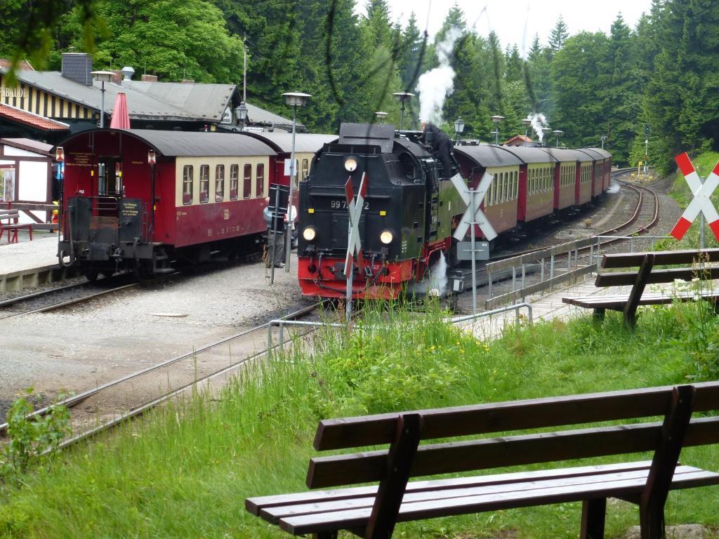Hotel Pension Gelpkes Muehle Bad Sachsa Exteriör bild